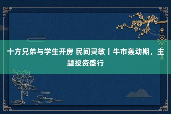 十方兄弟与学生开房 民间灵敏丨牛市轰动期，主题投资盛行