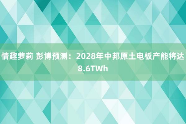 情趣萝莉 彭博预测：2028年中邦原土电板产能将达8.6TWh