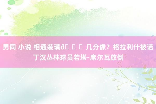 男同 小说 相通装璜👀几分像？格拉利什被诺丁汉丛林球员若塔-席尔瓦放倒