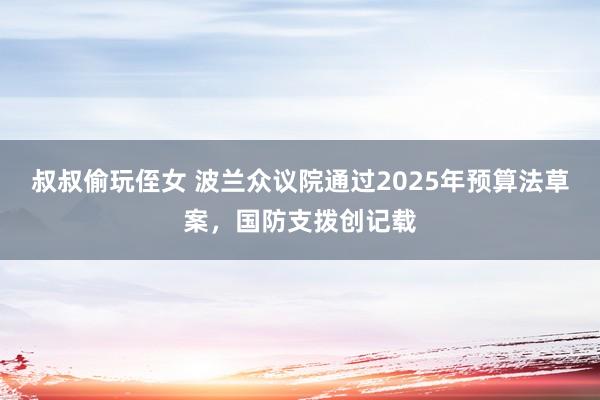 叔叔偷玩侄女 波兰众议院通过2025年预算法草案，国防支拨创记载