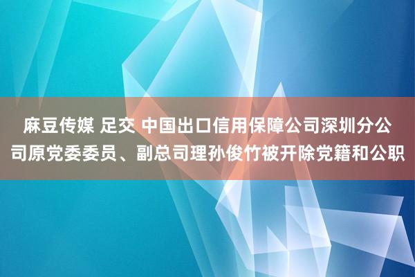 麻豆传媒 足交 中国出口信用保障公司深圳分公司原党委委员、副总司理孙俊竹被开除党籍和公职