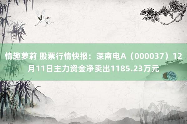 情趣萝莉 股票行情快报：深南电A（000037）12月11日主力资金净卖出1185.23万元