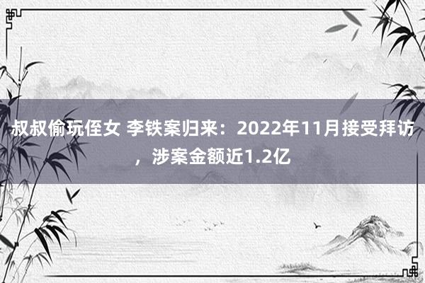 叔叔偷玩侄女 李铁案归来：2022年11月接受拜访，涉案金额近1.2亿