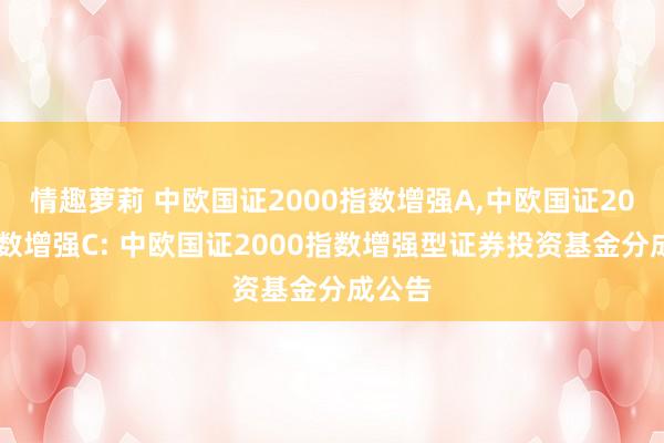 情趣萝莉 中欧国证2000指数增强A，中欧国证2000指数增强C: 中欧国证2000指数增强型证券投资基金分成公告