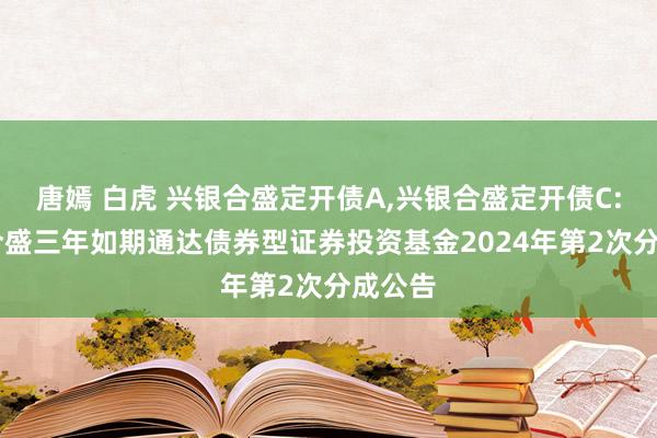 唐嫣 白虎 兴银合盛定开债A，兴银合盛定开债C: 兴银合盛三年如期通达债券型证券投资基金2024年第2次分成公告