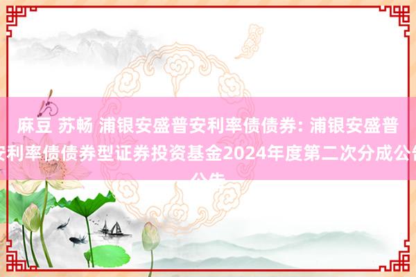 麻豆 苏畅 浦银安盛普安利率债债券: 浦银安盛普安利率债债券型证券投资基金2024年度第二次分成公告