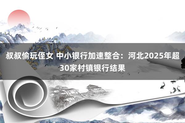 叔叔偷玩侄女 中小银行加速整合：河北2025年超30家村镇银行结果