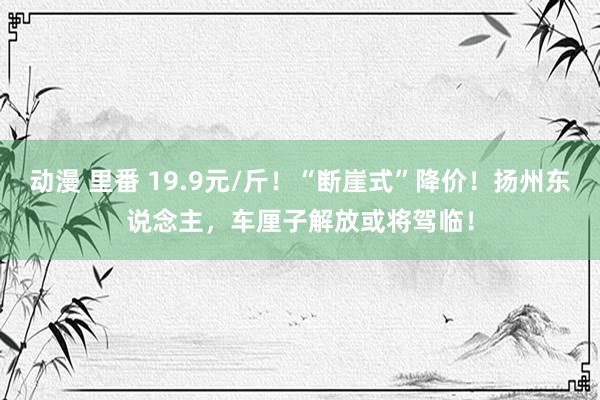 动漫 里番 19.9元/斤！“断崖式”降价！扬州东说念主，车厘子解放或将驾临！