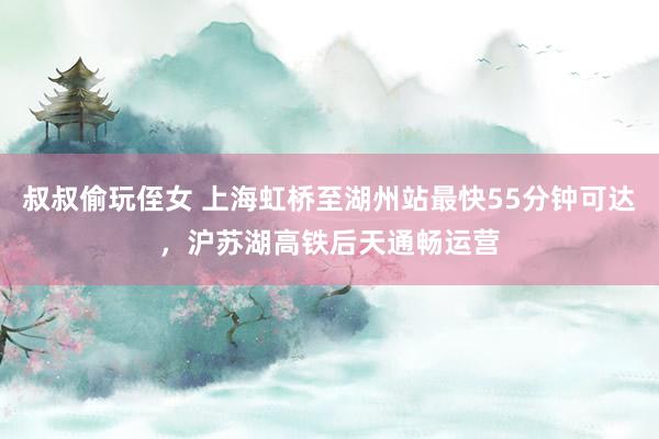 叔叔偷玩侄女 上海虹桥至湖州站最快55分钟可达，沪苏湖高铁后天通畅运营