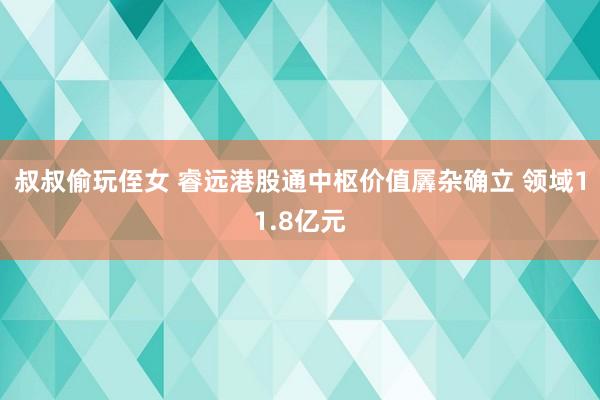 叔叔偷玩侄女 睿远港股通中枢价值羼杂确立 领域11.8亿元