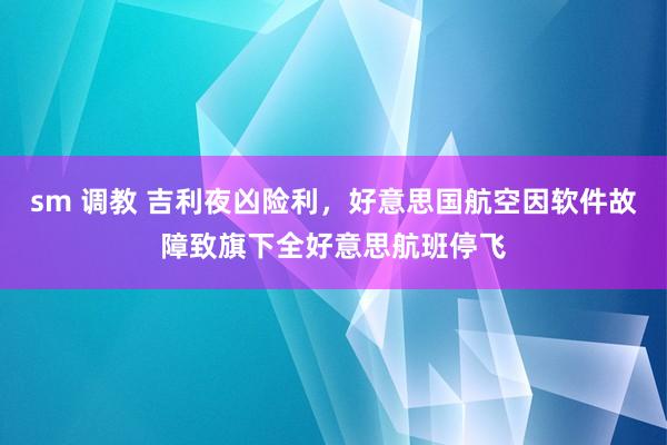 sm 调教 吉利夜凶险利，好意思国航空因软件故障致旗下全好意思航班停飞