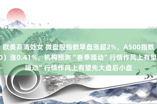 欧美高清处女 微盘股指数早盘涨超2%，A500指数ETF（560610）涨0.41%，机构预测“春季躁动”行情作风上有望先大盘后小盘