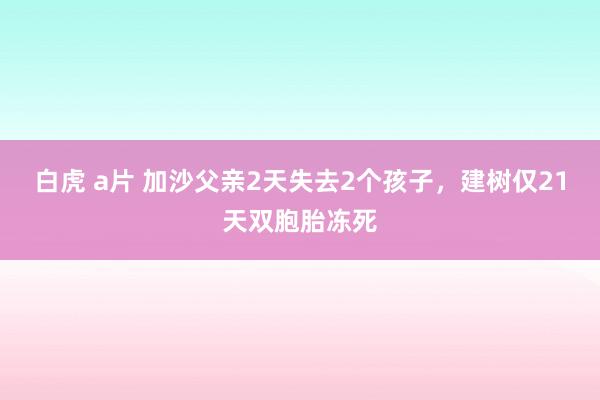 白虎 a片 加沙父亲2天失去2个孩子，建树仅21天双胞胎冻死