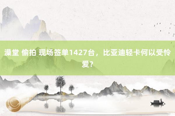 澡堂 偷拍 现场签单1427台，比亚迪轻卡何以受怜爱？