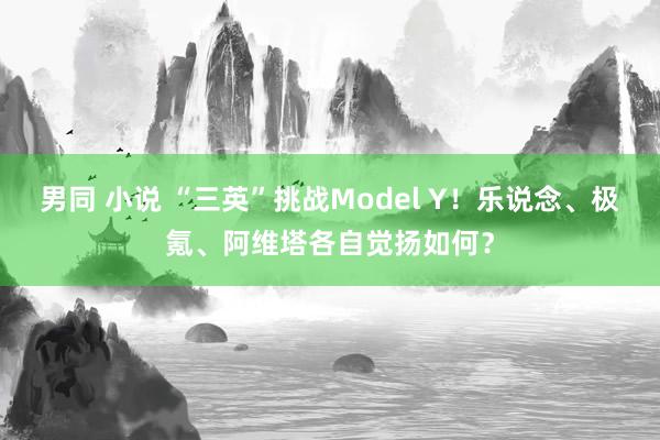 男同 小说 “三英”挑战Model Y！乐说念、极氪、阿维塔各自觉扬如何？