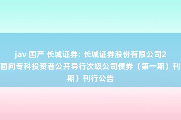 jav 国产 长城证券: 长城证券股份有限公司2025年面向专科投资者公开导行次级公司债券（第一期）刊行公告