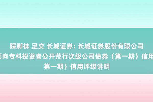 踩脚袜 足交 长城证券: 长城证券股份有限公司2025年面向专科投资者公开荒行次级公司债券（第一期）信用评级讲明