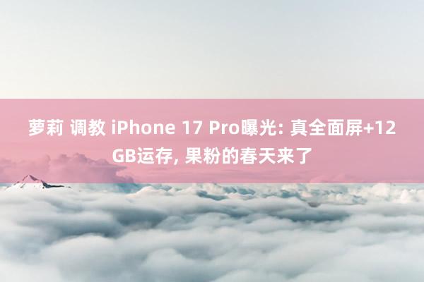 萝莉 调教 iPhone 17 Pro曝光: 真全面屏+12GB运存， 果粉的春天来了