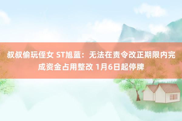 叔叔偷玩侄女 ST旭蓝：无法在责令改正期限内完成资金占用整改 1月6日起停牌