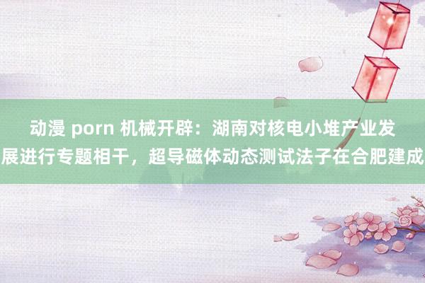 动漫 porn 机械开辟：湖南对核电小堆产业发展进行专题相干，超导磁体动态测试法子在合肥建成