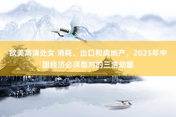 欧美高清处女 消耗、出口和房地产，2025年中国经济必须面对的三浩劫题