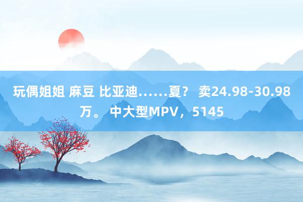 玩偶姐姐 麻豆 比亚迪……夏？ 卖24.98-30.98万。 中大型MPV，5145