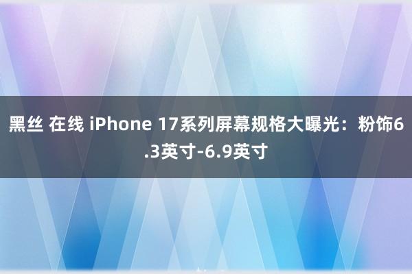 黑丝 在线 iPhone 17系列屏幕规格大曝光：粉饰6.3英寸-6.9英寸