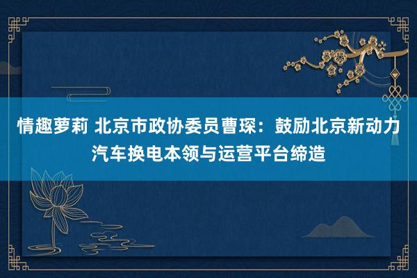 情趣萝莉 北京市政协委员曹琛：鼓励北京新动力汽车换电本领与运营平台缔造